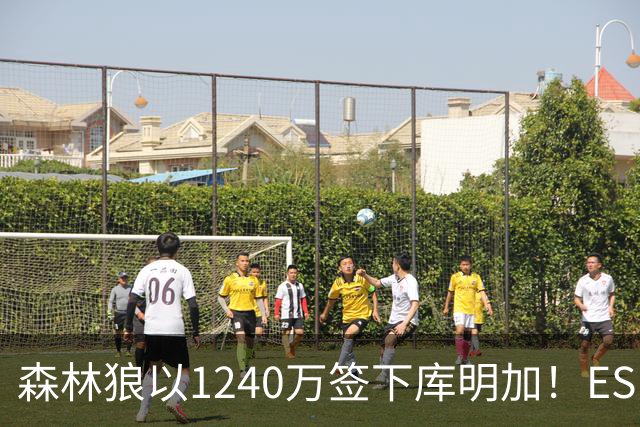 森林狼以1240万签下库明加！ESPN评分A-，成功寻获理想人选